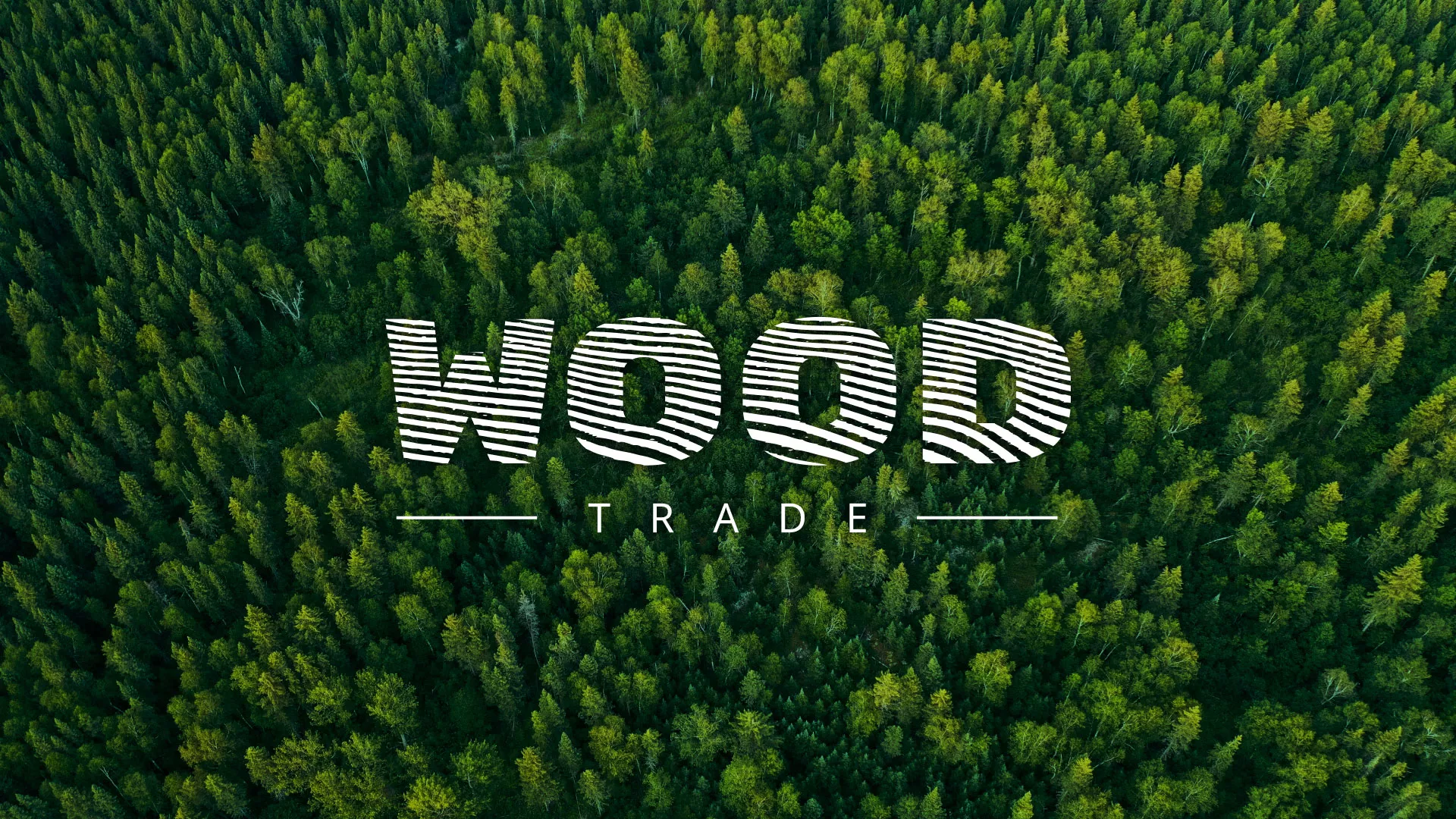 Разработка интернет-магазина компании «Wood Trade» в Петрозаводске
