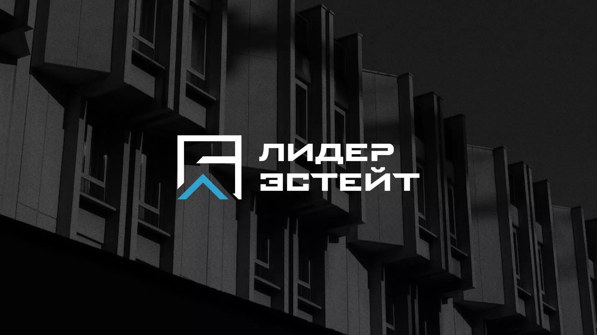Разработка логотипа агентства недвижимости «Лидер Эстейт» в Петрозаводске